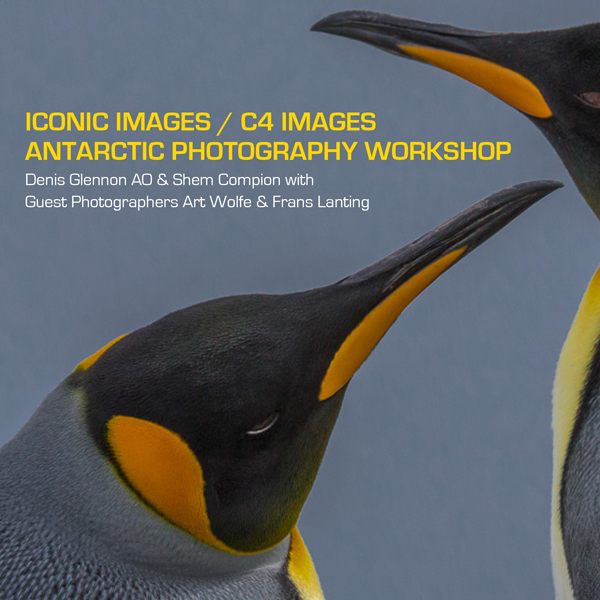 Iconic Images / C4 Images Antarctica Photography Workshop 2014 Complimentary e-Book 